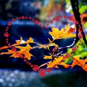 Meet your Posher, Carolyn